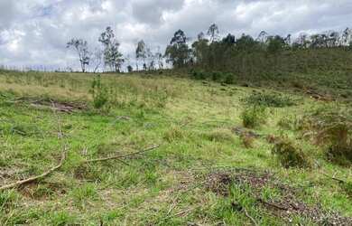 Imagem 3: Terrenos em Mairiporã mato dentro