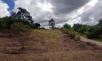 Imagem 3: Sítio de 2 hectares na Colônia Maciel