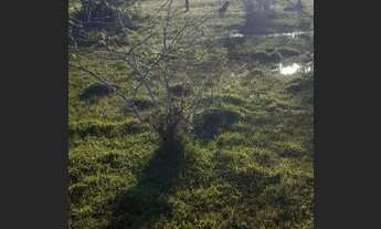 Imagem 7: Linda chácara 3hectares em localização privilegiada