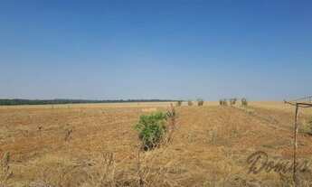 Imagem 2: Chácara com 1 dormitório à venda, 36000 m² por R$ 1.800.000,00 - Zona Rural - Lucas do Rio