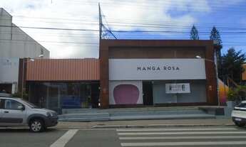 Imagem 2: COMERCIAL - AVENIDA AFONSO DELAMBERT NETO, 573