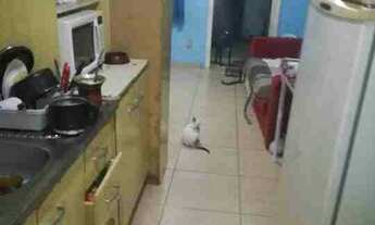 Imagem 5: Vendo, aceito proposta, menos parcela!!