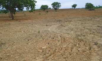 Imagem 5: Fazenda de 440 alqueires em Natividade-TO