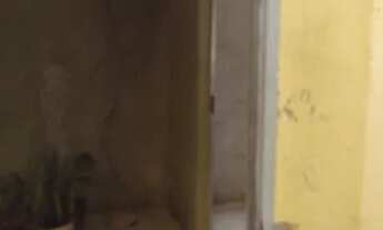 Imagem 4: Casa Casa com 2 dormitórios