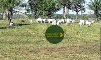 Imagem 5: Fazenda com 2 dormitórios à venda, 4936800 m² por R$ 15.000.000 - Zona Rural - Baliza/GO