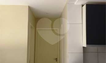 Imagem 4: Maravilhoso apartamento, sol da manhã, vazio [VP