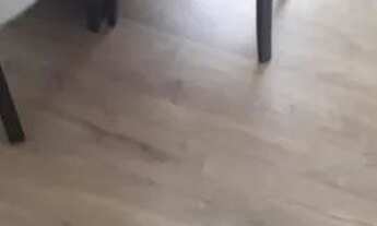 Imagem 6: Apartamento para aluguel 2 quartos 1 suíte 1 vaga Centro - Santo André - SP