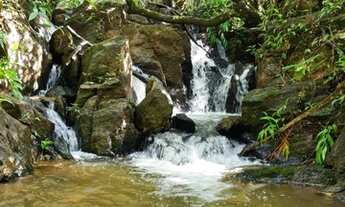 Imagem: Chacara rica em água em Bonfinopolis