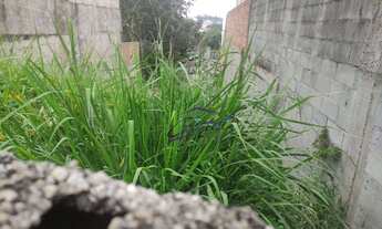 Imagem 4: Terreno à venda, 257 m² - Jardim Ester - Butantã - São Paulo/SP