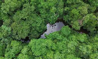 Imagem 5: Terreno de 20.000 M a 500 M da Universidade Católica Campus ll