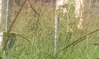 Imagem 4: Terreno com construção inacabada