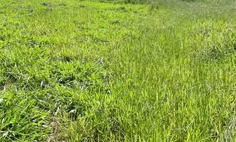 Imagem 3: Ds(Um pedacinho do paraíso aqui em São Roque!!