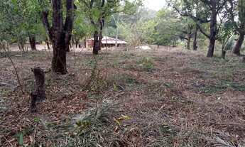 Imagem 3: Terreno a venda avenida principal do Cajueiro