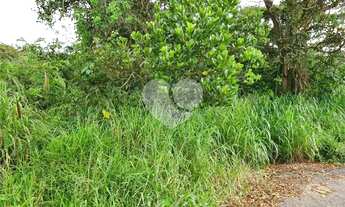 Imagem 6: Loteamento à venda em Roseira - SP