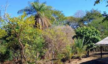 Imagem: Sítio 16 hectares, apenas 10 km de Montes