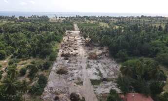 Imagem 4: Terreno próximo à praia
