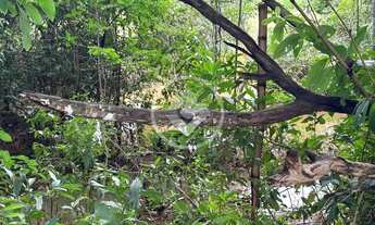 Imagem 5: Lote à Venda Setor Jardim Belvedere