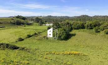 Imagem 5: Área rural com 67 ha, casas, açude e pinus