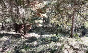 Imagem 3: Lote de Terreno em Associação Consolidada na Região do Imbiri - Campos do Jordão/SP