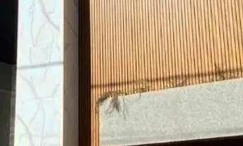 Imagem: Damha VI Nova - 4 Suítes - Estuda Troca