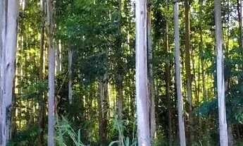 Imagem 4: Sítio / Chácara para Venda em Nova Petrópolis, São José do Caí