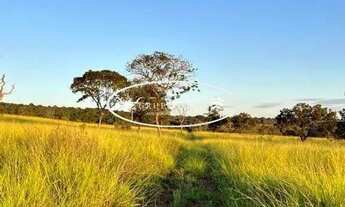 Imagem 2: Fazenda de Oportunidade à Venda em Iporá-GO | 38 Alqueires