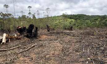 Imagem 4: Lotes 500m² em Ibiúna Região em Alta