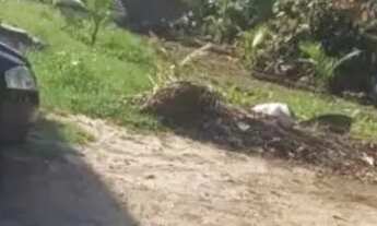 Imagem 3: Terreno à venda no bairro Balneário Ponta da Fruta - Vila Velha/ES