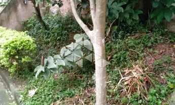 Imagem 5: Oportunidade Única a Construtores: Terreno 270m² Localização Privilegiada