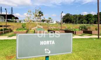 Imagem 8: Lote no Jardins França