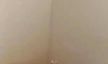 Imagem 5: Térrea para venda possui 175 metros quadrados com 3 quartos em Vila Isolina Mazzei - São P