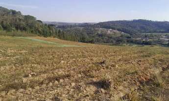 Imagem 4: Imóvel para venda tem 500 metros quadrados em Jardim Santa Izabel - Cotia - SP