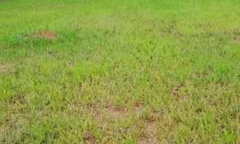 Imagem 3: TERRENO EM CONDOMÍNIO - CONDOMÍNIO TERRAS DE SANTA CRUZ - SP