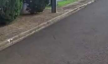 Imagem: Terreno Rua Celso Groth, Jardim Ascari