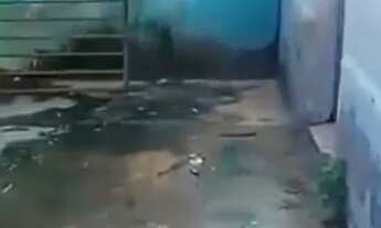 Imagem 5: Casa jardim Atlântico