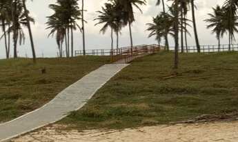 Imagem 7: Lote mares Maluy