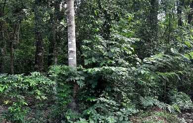 Imagem 4: Chácara Estância Vargem Bonita