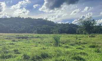Imagem 2: Fazenda campina verde