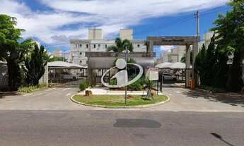 Imagem 3: Aluguel Apartamento JARDIM DAS PALMEIRAS