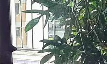 Imagem 4: Ótima Cobertura Duplex no Ingá