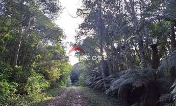 Imagem 5: Lote em rua colinas - Colinas - São Francisco de Paula/RS