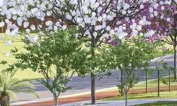 Imagem 6: Lote de frente a mata - Jardins Londres