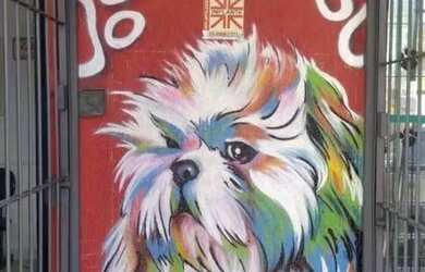 Imagem 4: COMERCIAL - VILA BUTANTÃ - SP