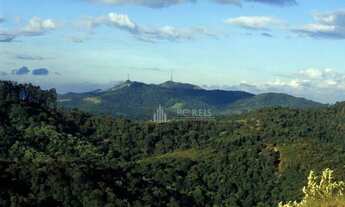 Imagem 6: Casa nova em Alphaville com 4 suítes à venda, 454 m² por R$ 6.950.000 - Santana de Parnaíb