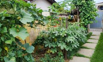 Imagem 6: Venda de Casas / Padrão na cidade de São Carlos