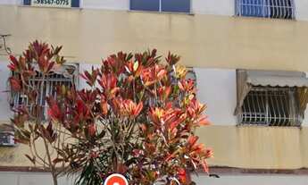 Imagem: Apartamento - Centro SG