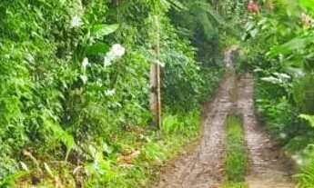 Imagem 3: Terreno em Ubatuba