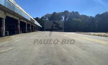 Imagem 5: SAO BERNARDO DO CAMPO - Galpão/Depósito/Armazém - Paulicéia