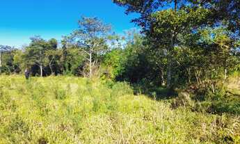 Imagem 4: Chácara à venda localizada em Parobé/Morro da pedra!!
