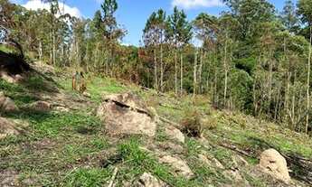 Imagem 6: Lote/Terreno para venda possui 500 metros quadrados em Setubal - Mairinque - SP